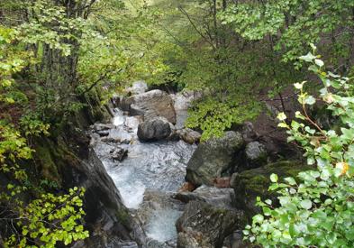 Imagen secundaria 1 - A zancadas para cruzar los Pirineos