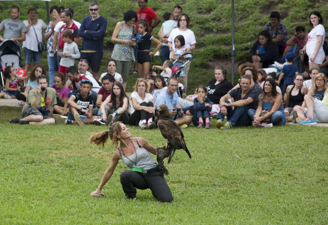 Fotos: Cabárceno, foco de turismo