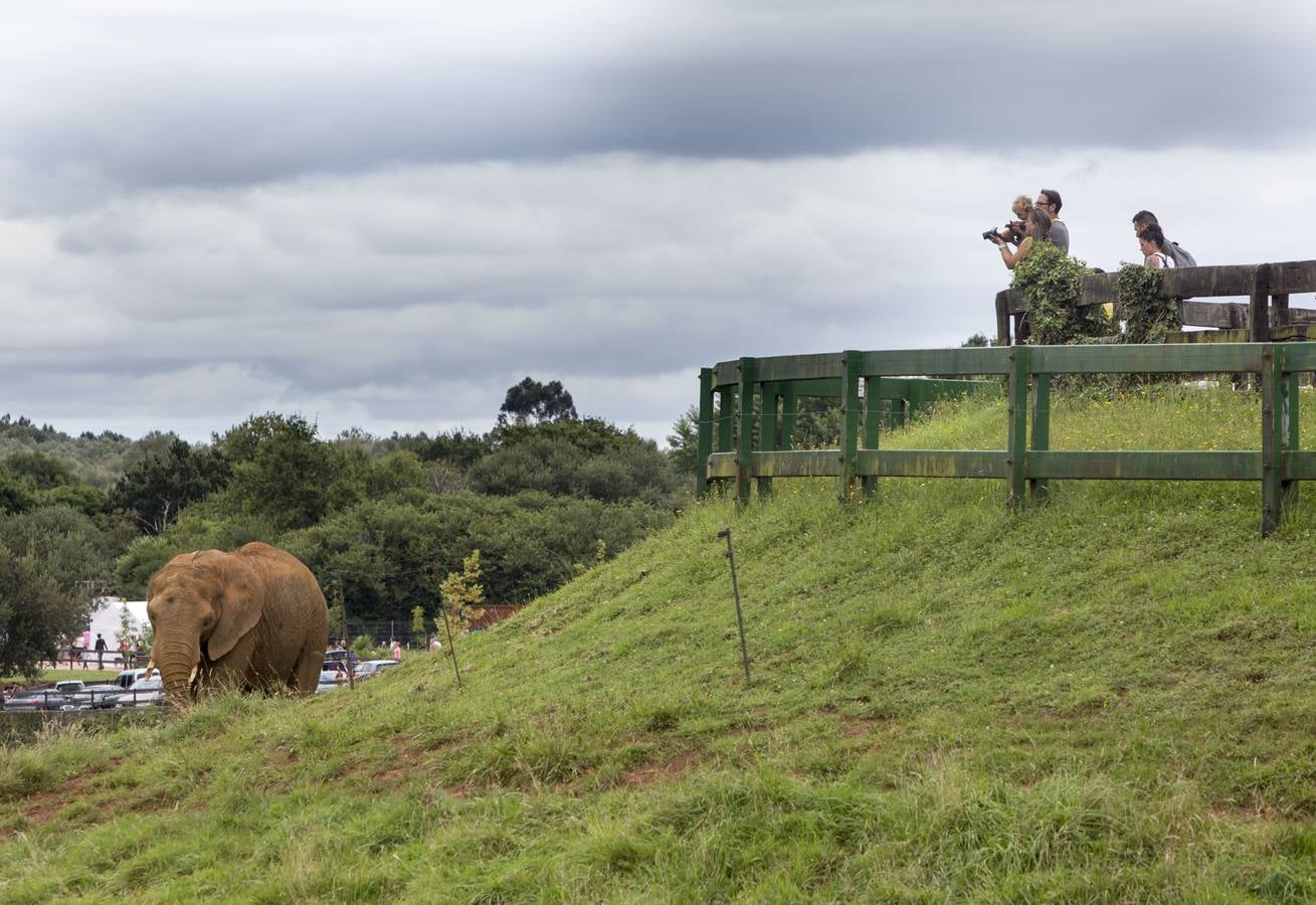 Fotos: Cabárceno, foco de turismo