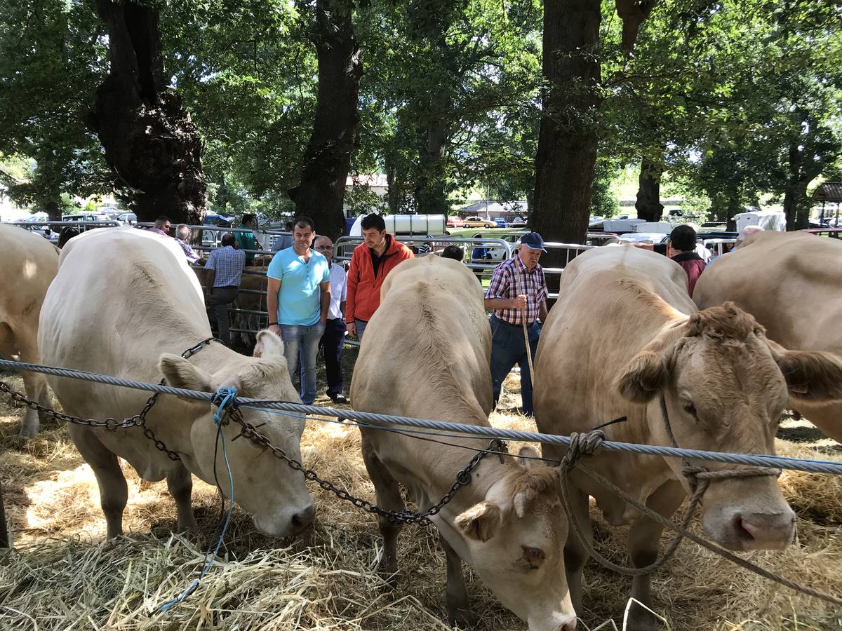 Numeroso público en la feria