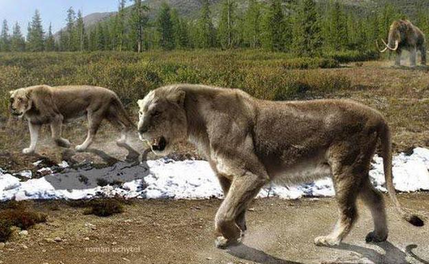 ¿Cómo vivía el león de las cavernas en Cantabria?
