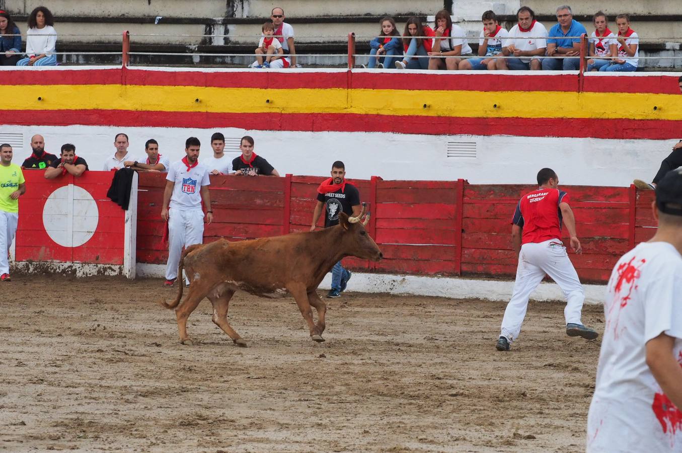 Fotos: Imágenes del primer encierro de las fiestas de Ampuero