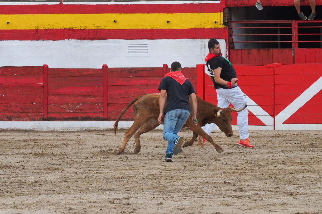 Fotos: Imágenes del primer encierro de las fiestas de Ampuero