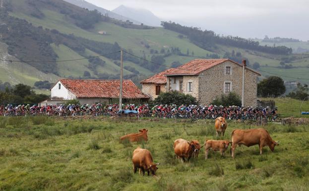 La Vuelta vuelve a Cantabria.