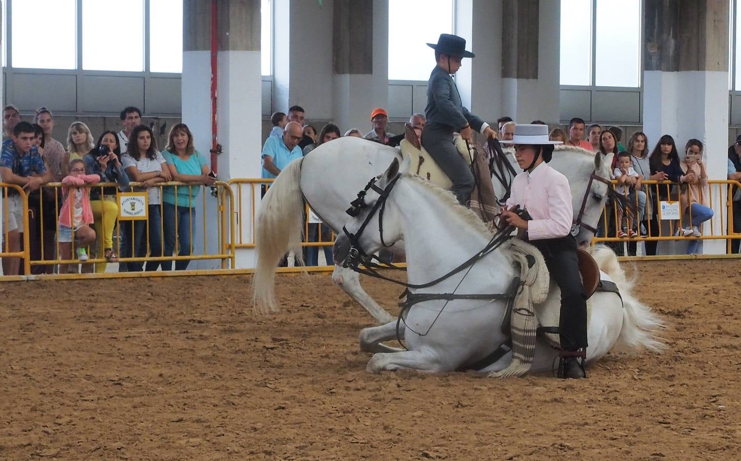 Fotos: Santos Pereira y Francisco Carrera ganan el concurso de caballos