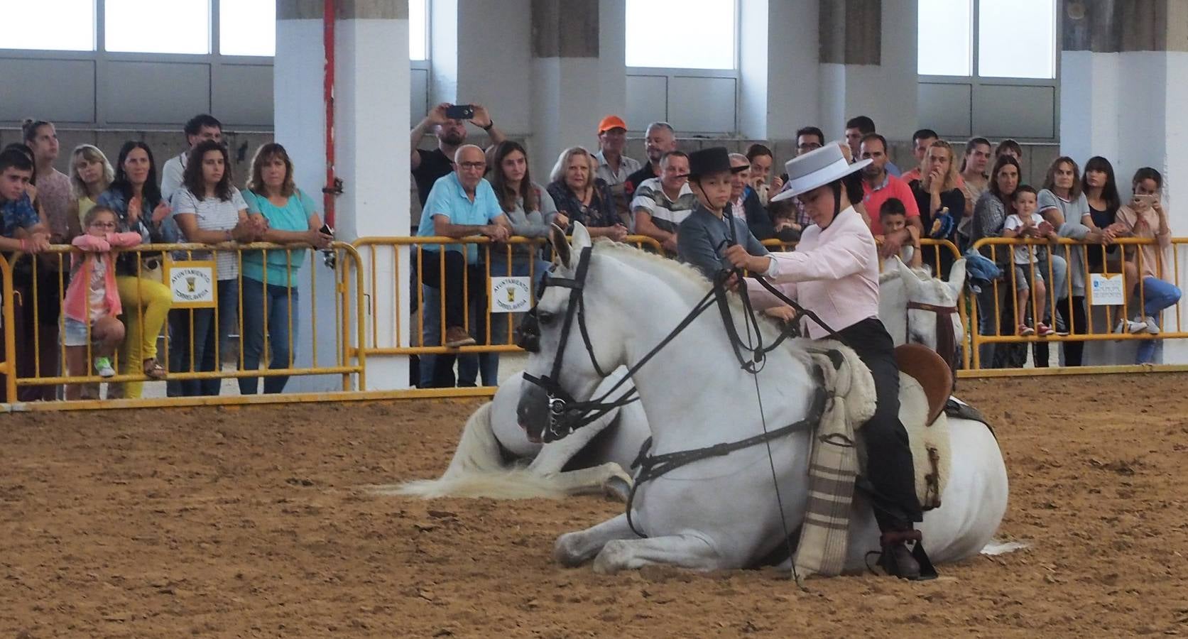 Fotos: Santos Pereira y Francisco Carrera ganan el concurso de caballos