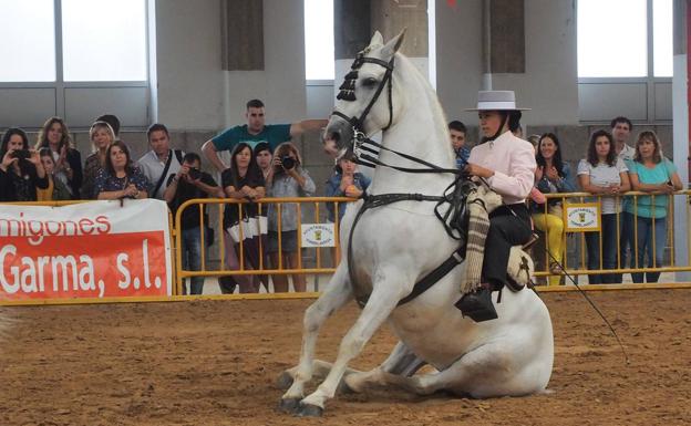 Santos Pereira y Francisco Carrera ganan el concurso de caballos 'Ciudad de Torrelavega'