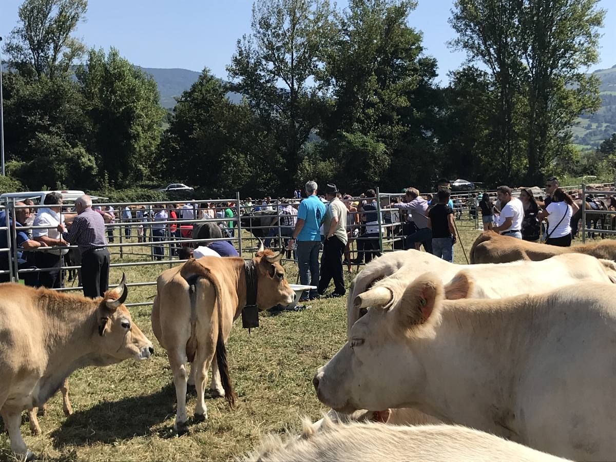 El municipio disfruta estos días de sus fiestas, entre las que destaca la tradicional feria ganadera, que atrajo a cientos de personas.