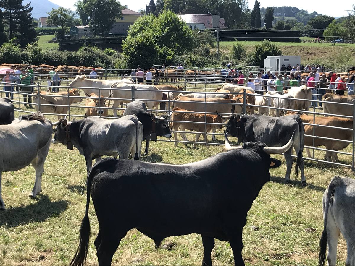 El municipio disfruta estos días de sus fiestas, entre las que destaca la tradicional feria ganadera, que atrajo a cientos de personas.