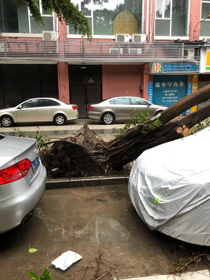 Fotos: Los destrozos del tifón Mangkhut