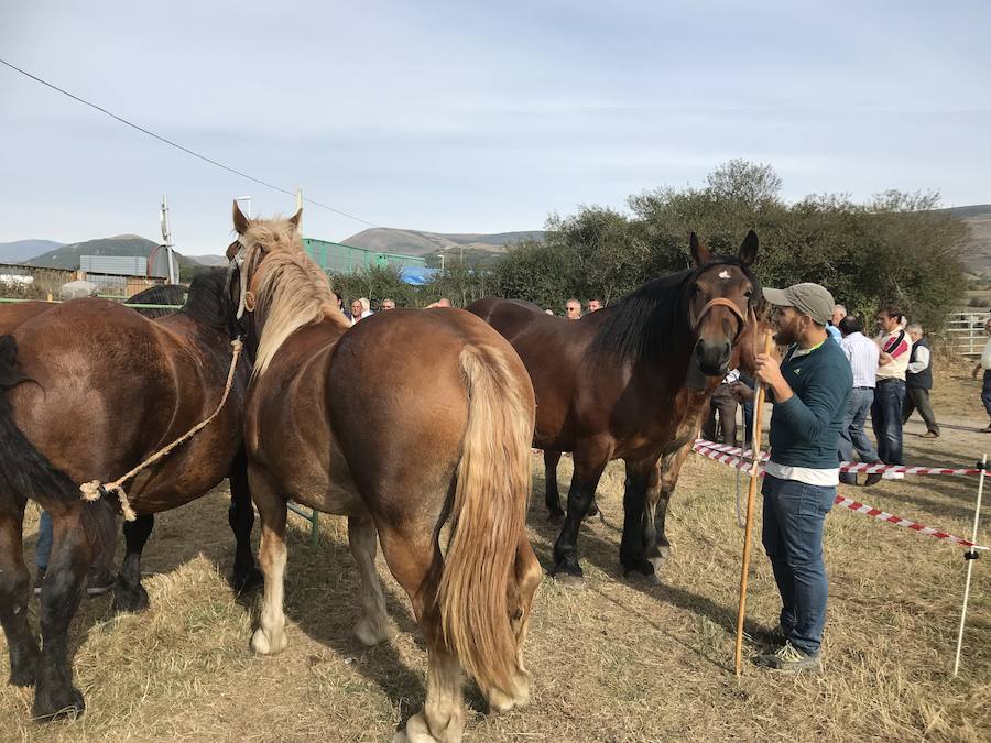 Fotos: Reinosa se sumerge en San Mateo