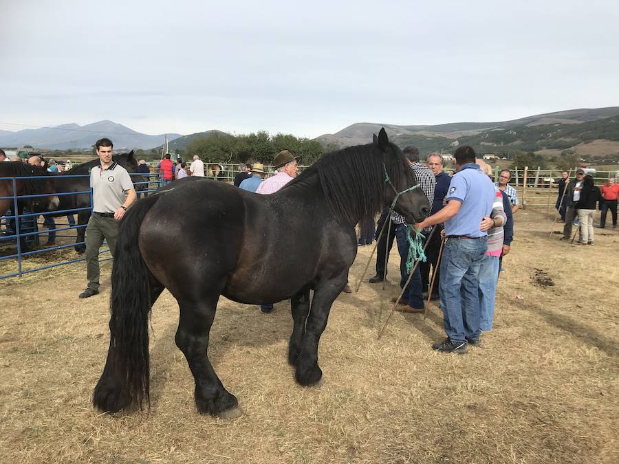 Fotos: Reinosa se sumerge en San Mateo