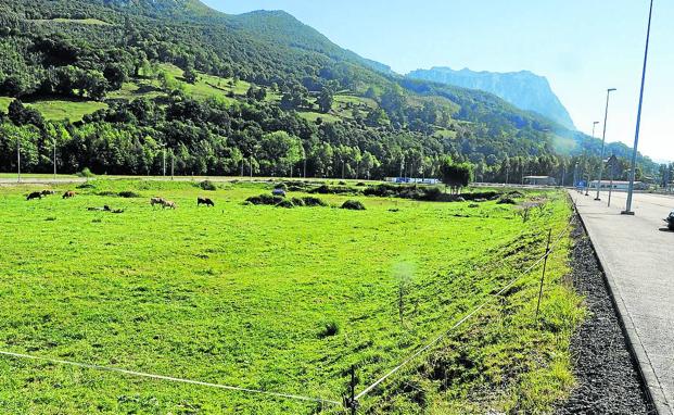 Terrenos en el Polígono del Alto Asón donde se proyecta la piscifactoría de salmones.