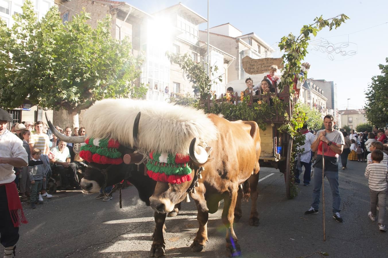 El desfile de carretas ha puesto fin a las fiestas de San Mateo en Reinosa, con el tradicional paseo de carros que, tirados por bueyes o vacas, representan escenas tradicionales de la vida rural de la comarca