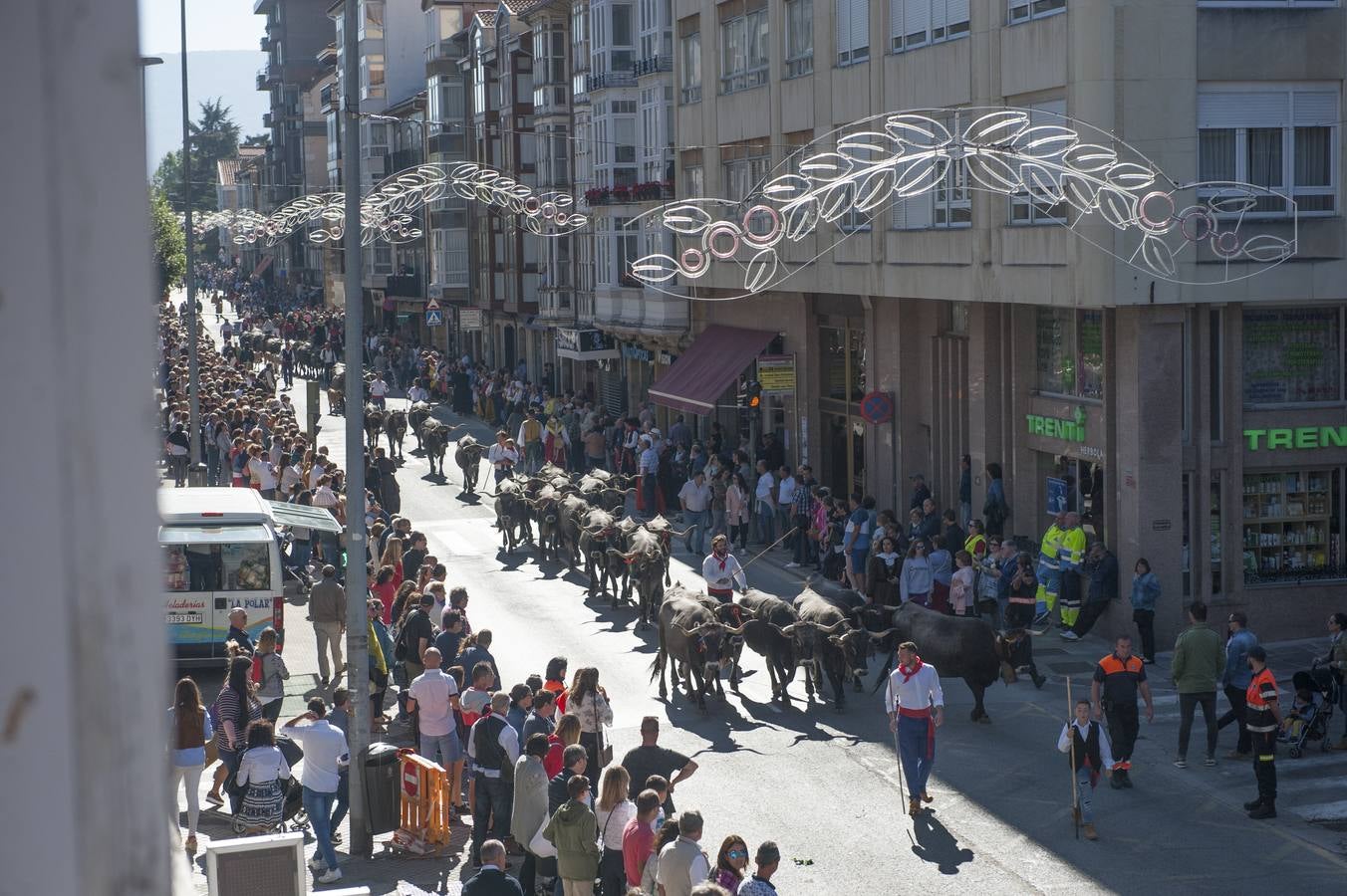 El desfile de carretas ha puesto fin a las fiestas de San Mateo en Reinosa, con el tradicional paseo de carros que, tirados por bueyes o vacas, representan escenas tradicionales de la vida rural de la comarca