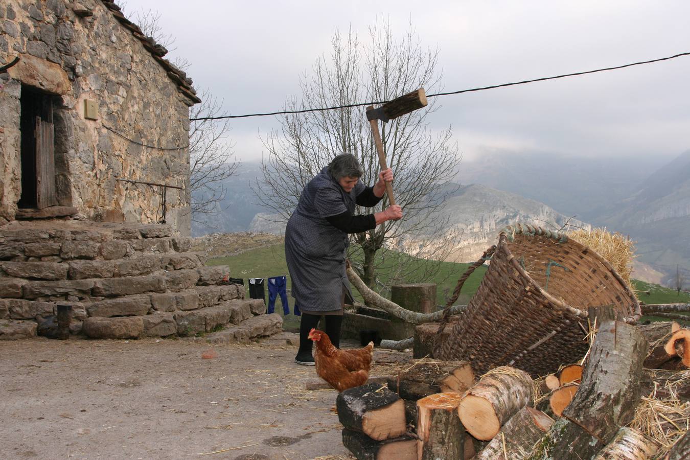 Una mujer cortando leña al lado de una cabaña pasiega.