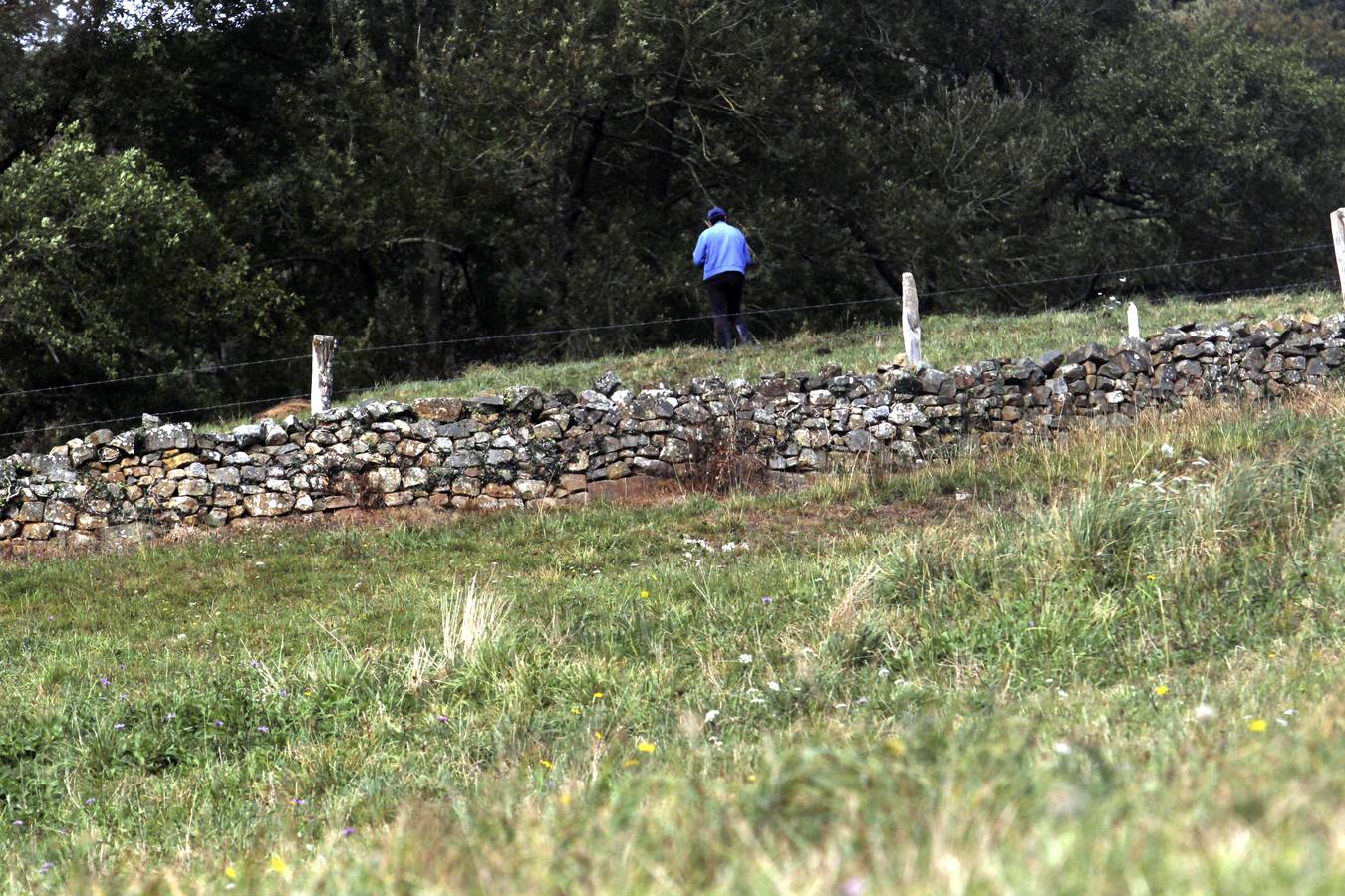 La zona de los Valles Pasiegos brilla con luz propia con la llegada de la estación otoñal.