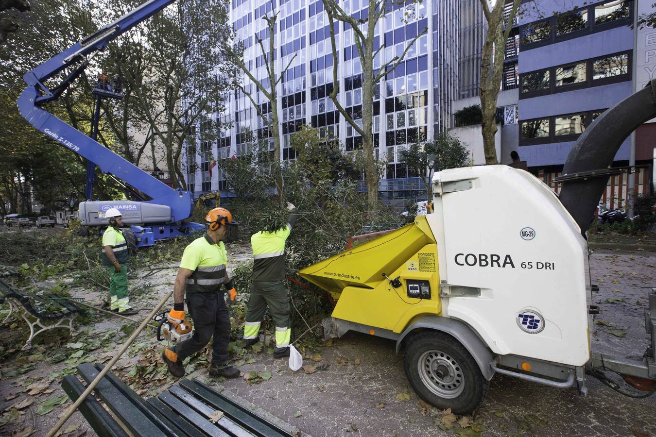 Fotos: Poda de árboles en Santander