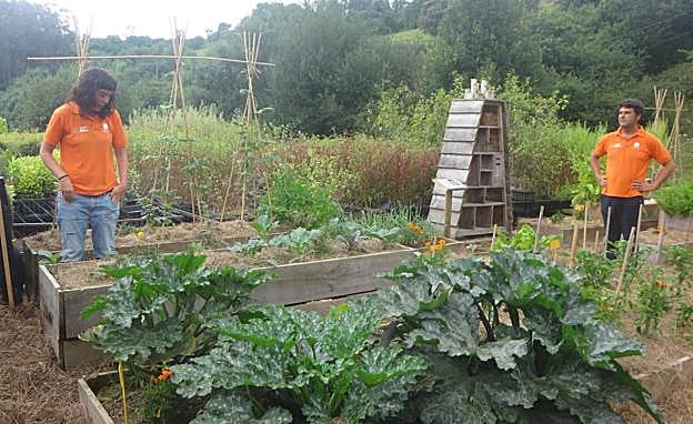 Los talleres reúnen, cada año, a un nutrido grupo de alumnos.