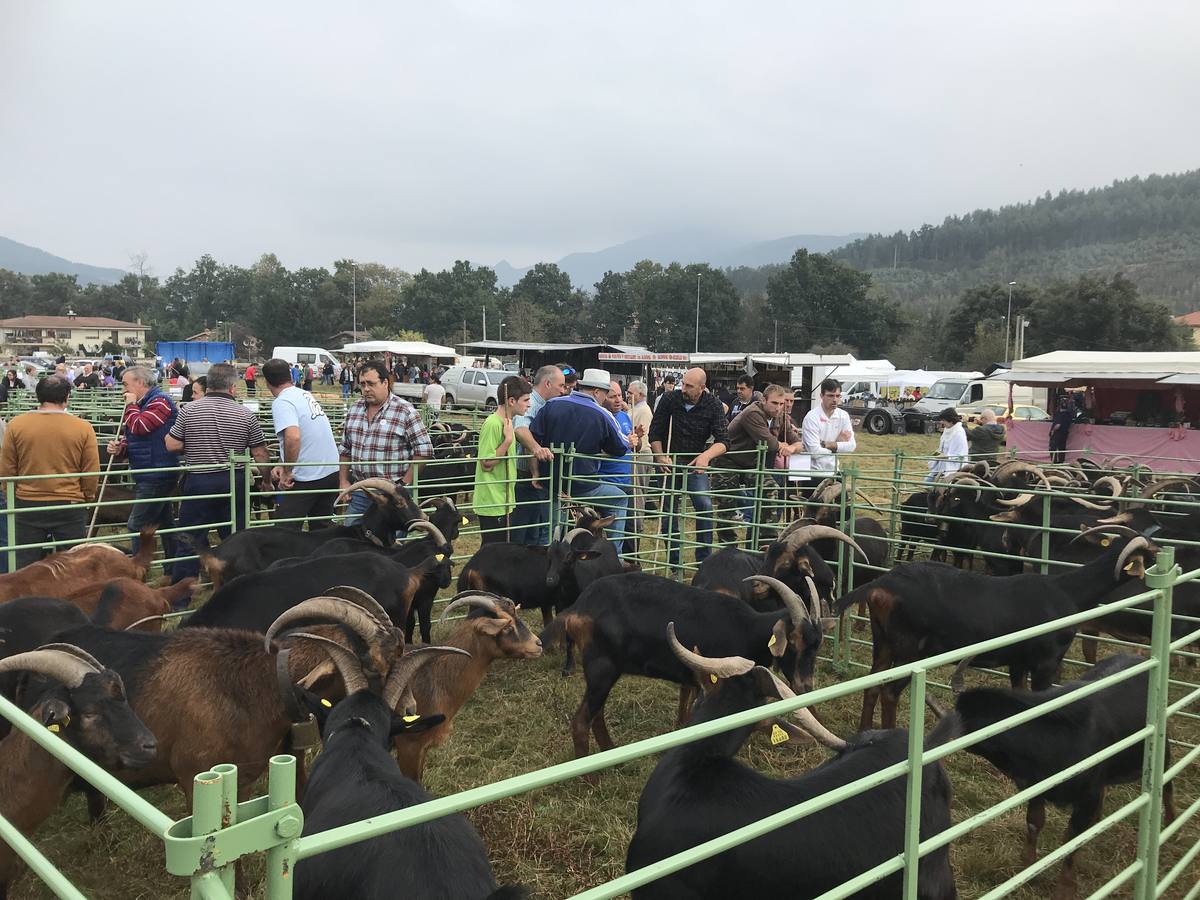 Fotos: La XXX Feria de Año en Guriezo