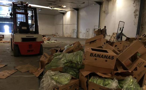 Imagen principal - La droga estaba oculta en un cargamento de bananas. 