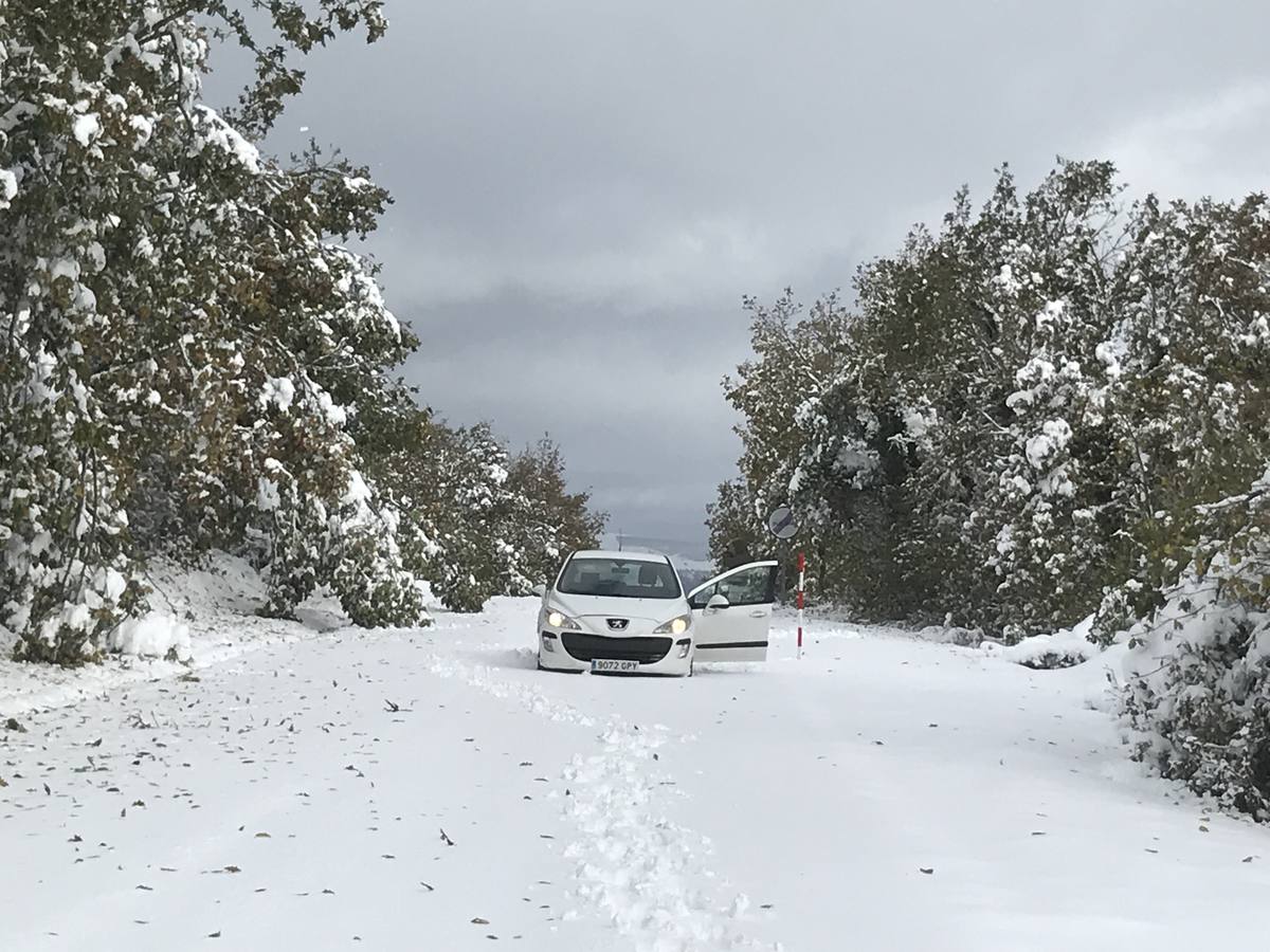 Las nevadas del fin de semana dejan impresionantes imágenes de pueblos teñidos de blanco en el sur de Cantabria. Desde Arroyo a Bustasur, un recorrido por estos paisajes de un invierno adelantado