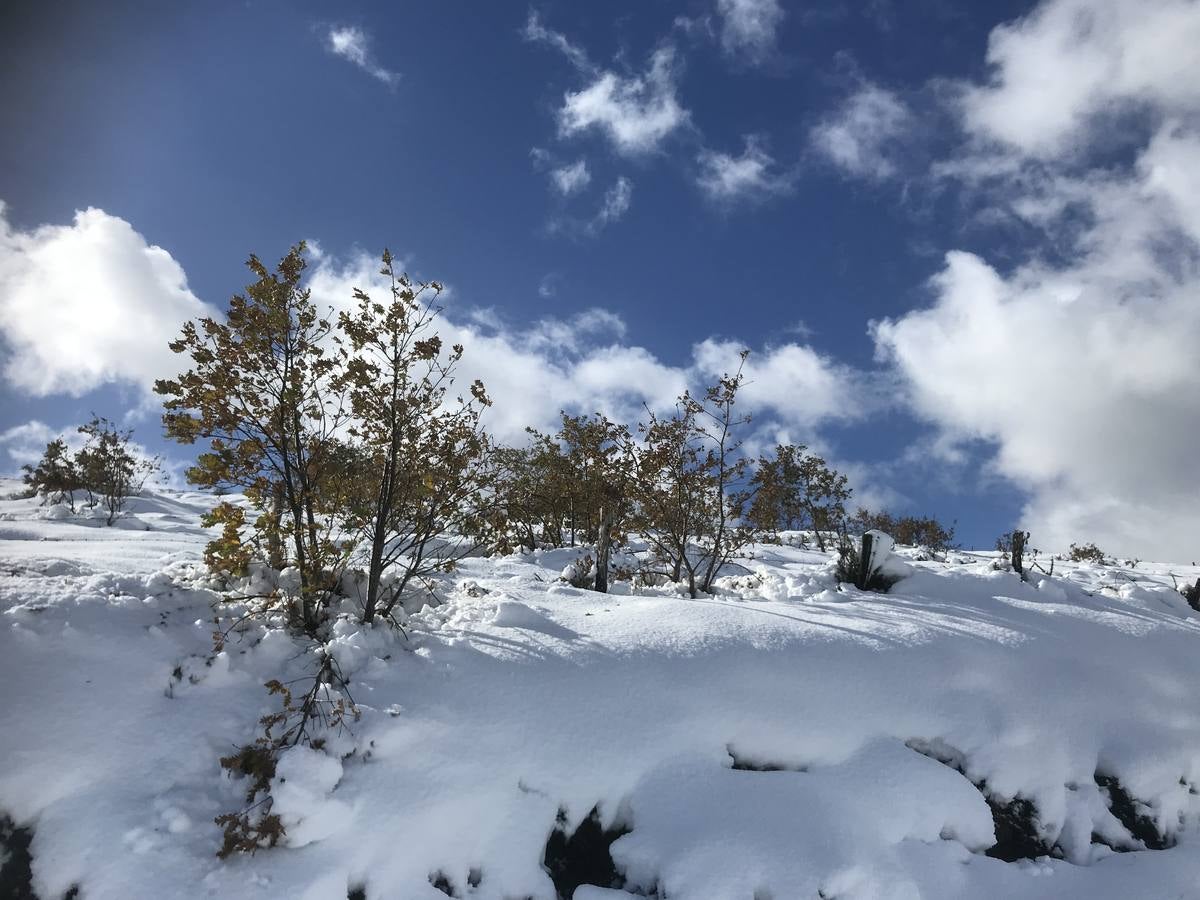 Las nevadas del fin de semana dejan impresionantes imágenes de pueblos teñidos de blanco en el sur de Cantabria. Desde Arroyo a Bustasur, un recorrido por estos paisajes de un invierno adelantado