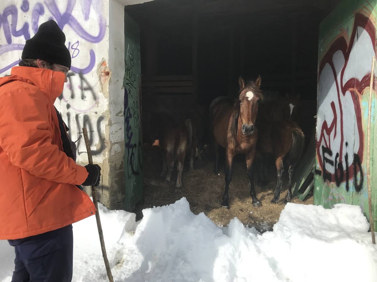 Fotos: Nieve en el puerto de Palombera