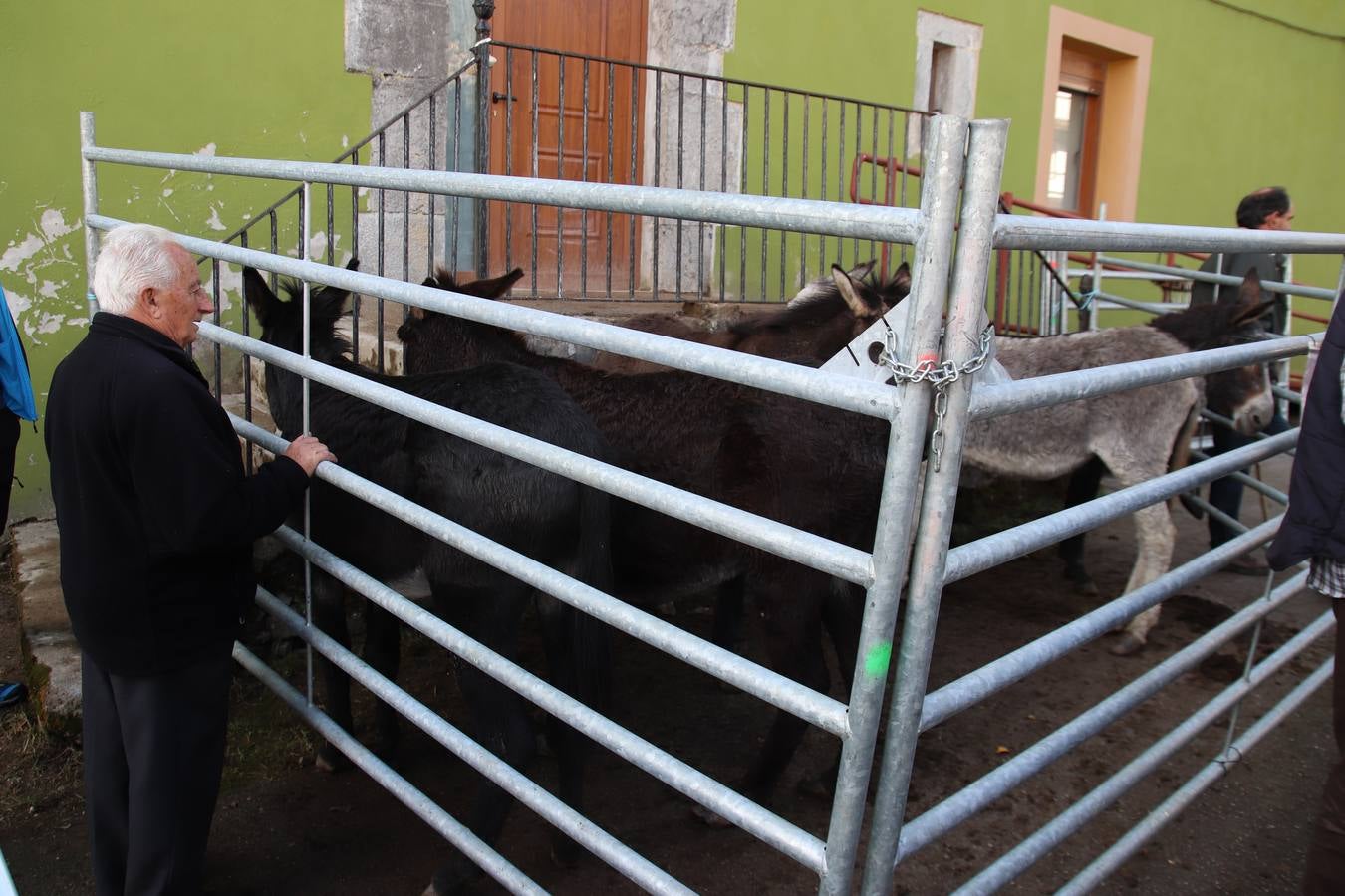 Fotos: Feria de Todos los Santos en Arredondo