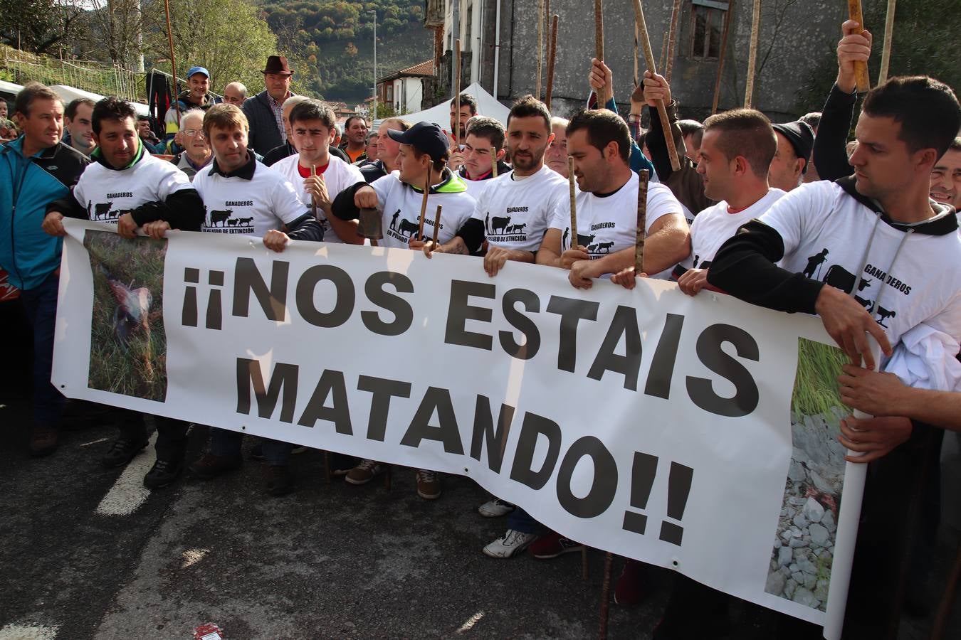 Fotos: Feria de Todos los Santos en Arredondo