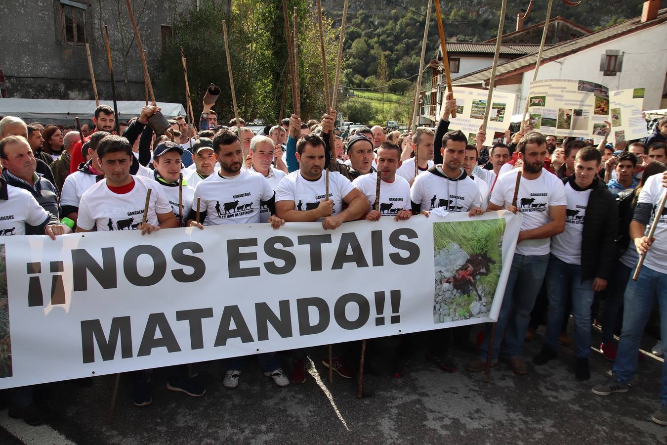 Fotos: Feria de Todos los Santos en Arredondo