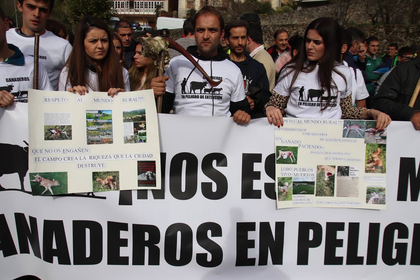 Fotos: Feria de Todos los Santos en Arredondo