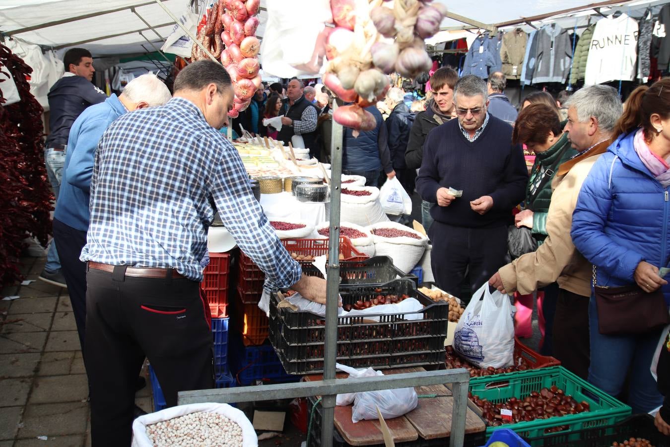 Fotos: Feria de Todos los Santos en Arredondo