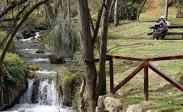 Torrelavega fomentará la reproducción de aves y anfibios en el parque de La Viesca