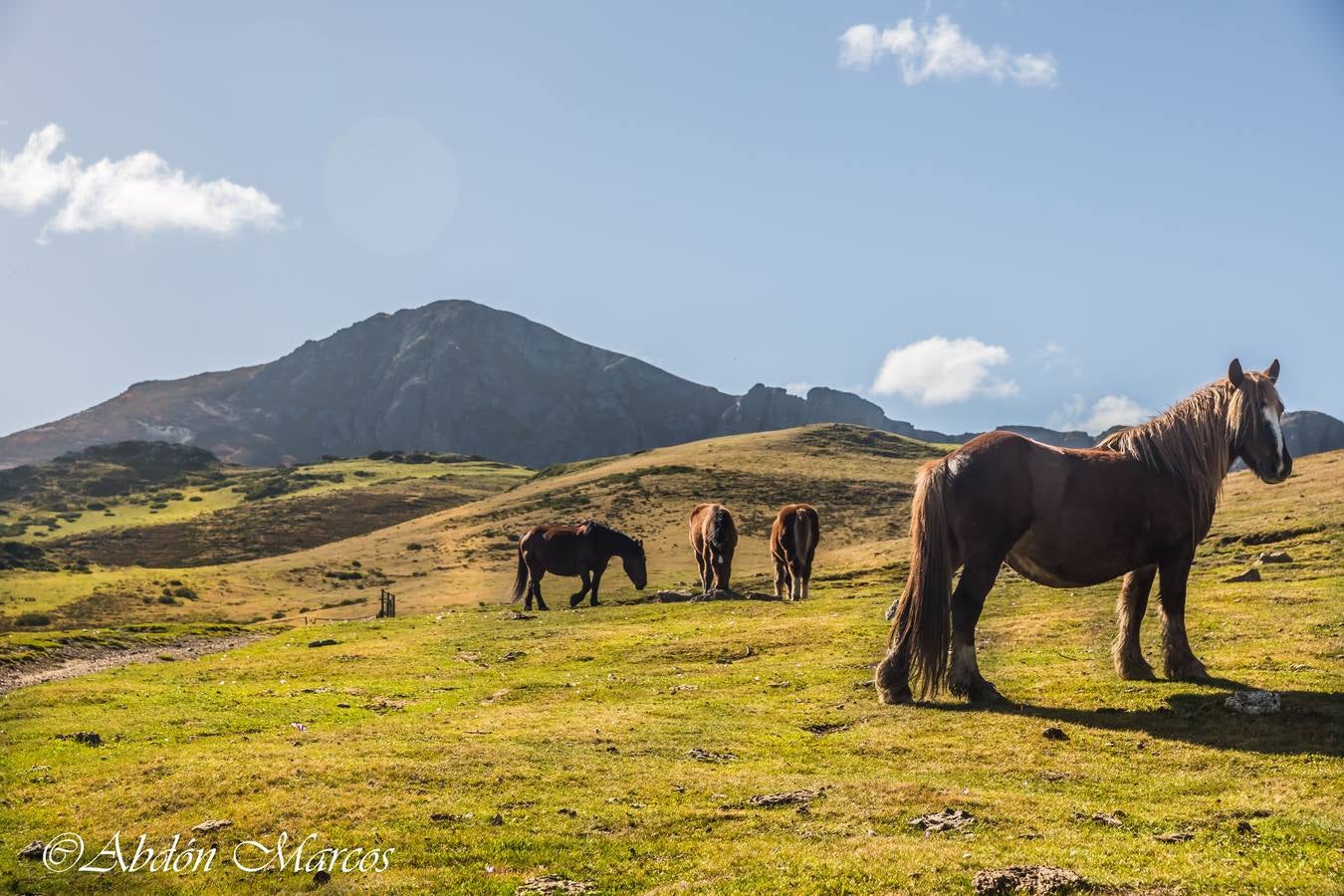 Fotos: Ruta Cucayo-Los Llares- Ladera del Pumar- Cucayo