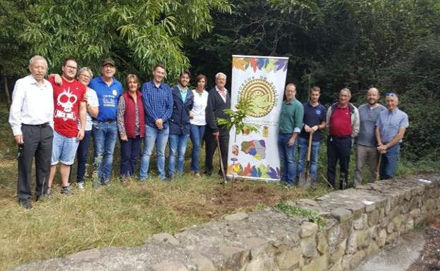 Plantación del castaño en Somahoz para abrir una nueva edición de Magostas de Buelna