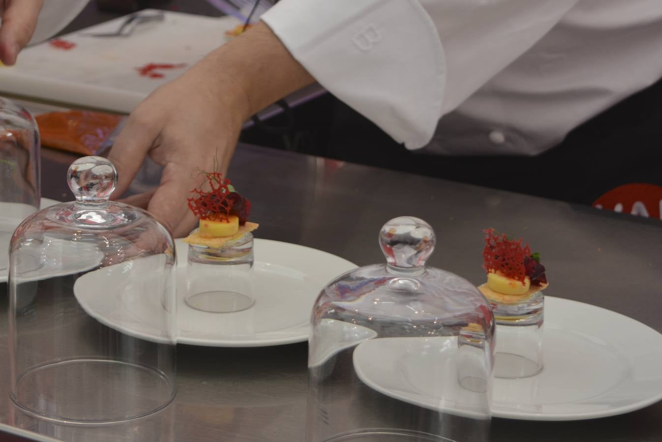 Han competido un total de 16 cocineros de 14 países: Portugal, Nueva Zelanda, Puerto Rico, Noruega, EE. UU., Perú, Taiwan, Argentina, México, Ecuador, Colombia, Irlanda y España, representada por el chef Igor Rodríguez Sanz (ganador del Concurso Nacional en 2017)