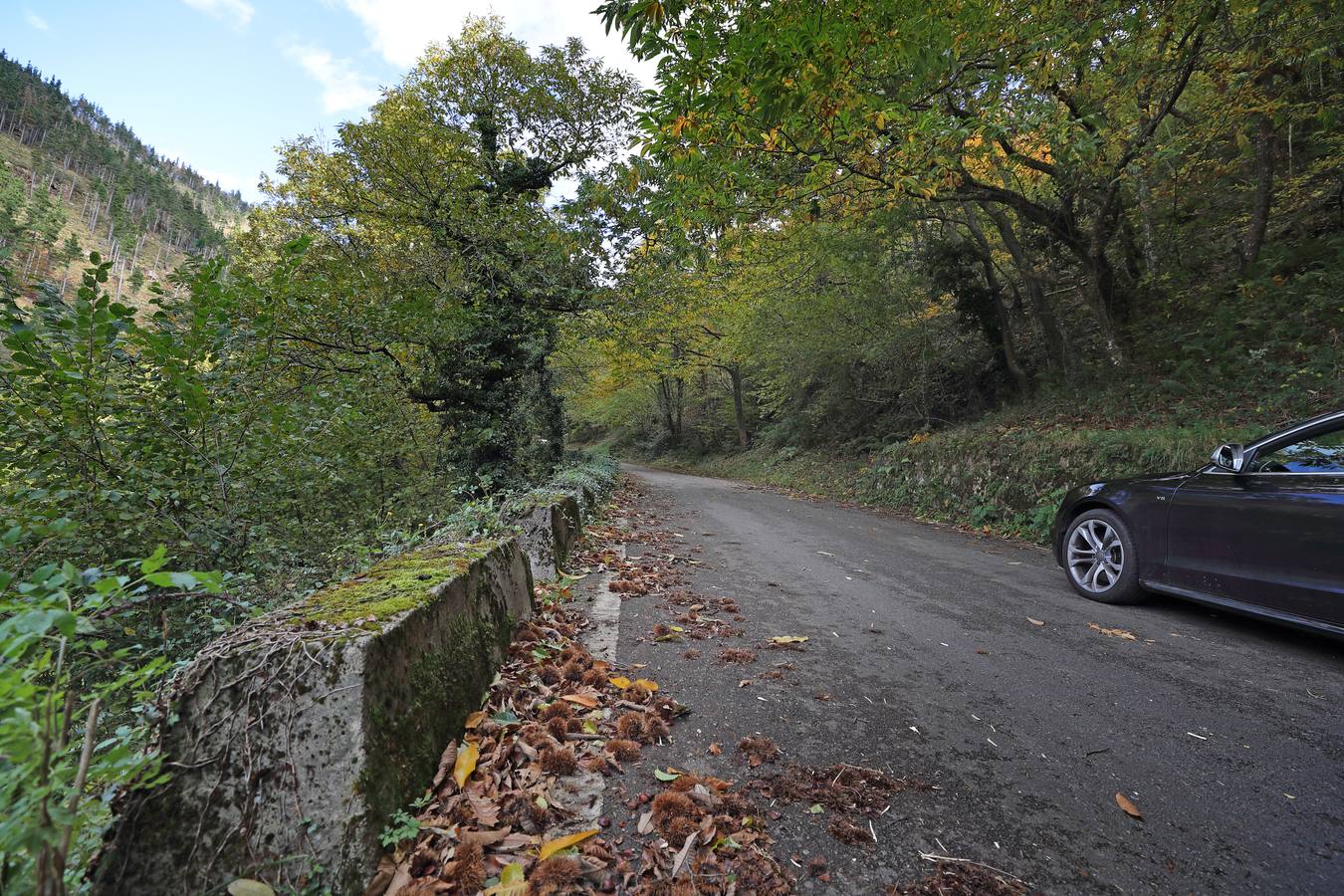 El otoño ya se deja sentir en los paisajes cántabros, que lucen transformados por esta época del año. Parajes como la Reserva del Saja, el Monte Corona, Los Tojos o Cabezón de la Sal lucen ya con los colores del otoño.