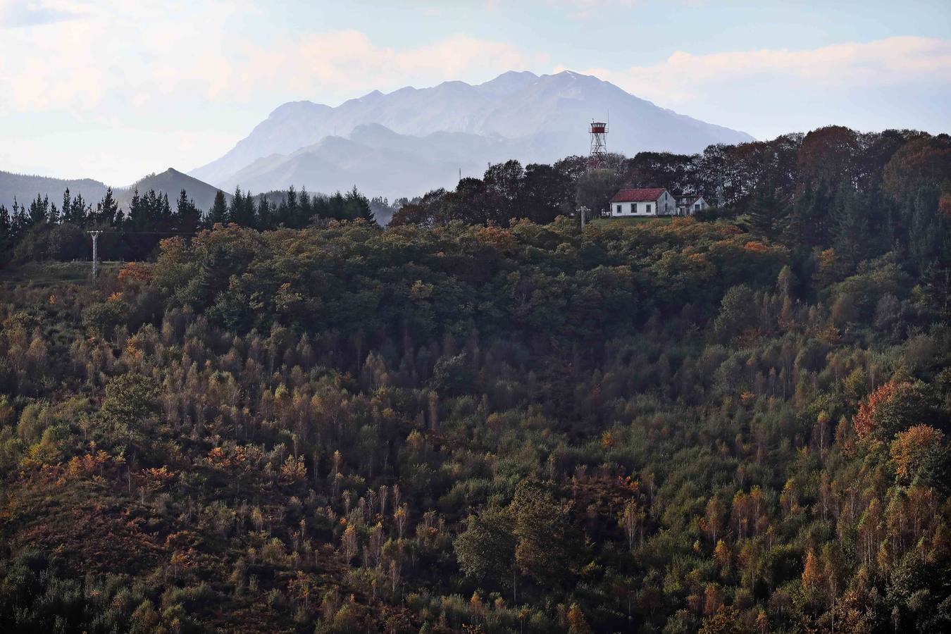 El otoño ya se deja sentir en los paisajes cántabros, que lucen transformados por esta época del año. Parajes como la Reserva del Saja, el Monte Corona, Los Tojos o Cabezón de la Sal lucen ya con los colores del otoño.