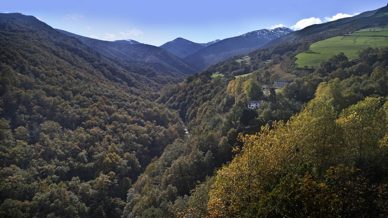 El otoño ya se deja sentir en los paisajes cántabros, que lucen transformados por esta época del año. Parajes como la Reserva del Saja, el Monte Corona, Los Tojos o Cabezón de la Sal lucen ya con los colores del otoño.