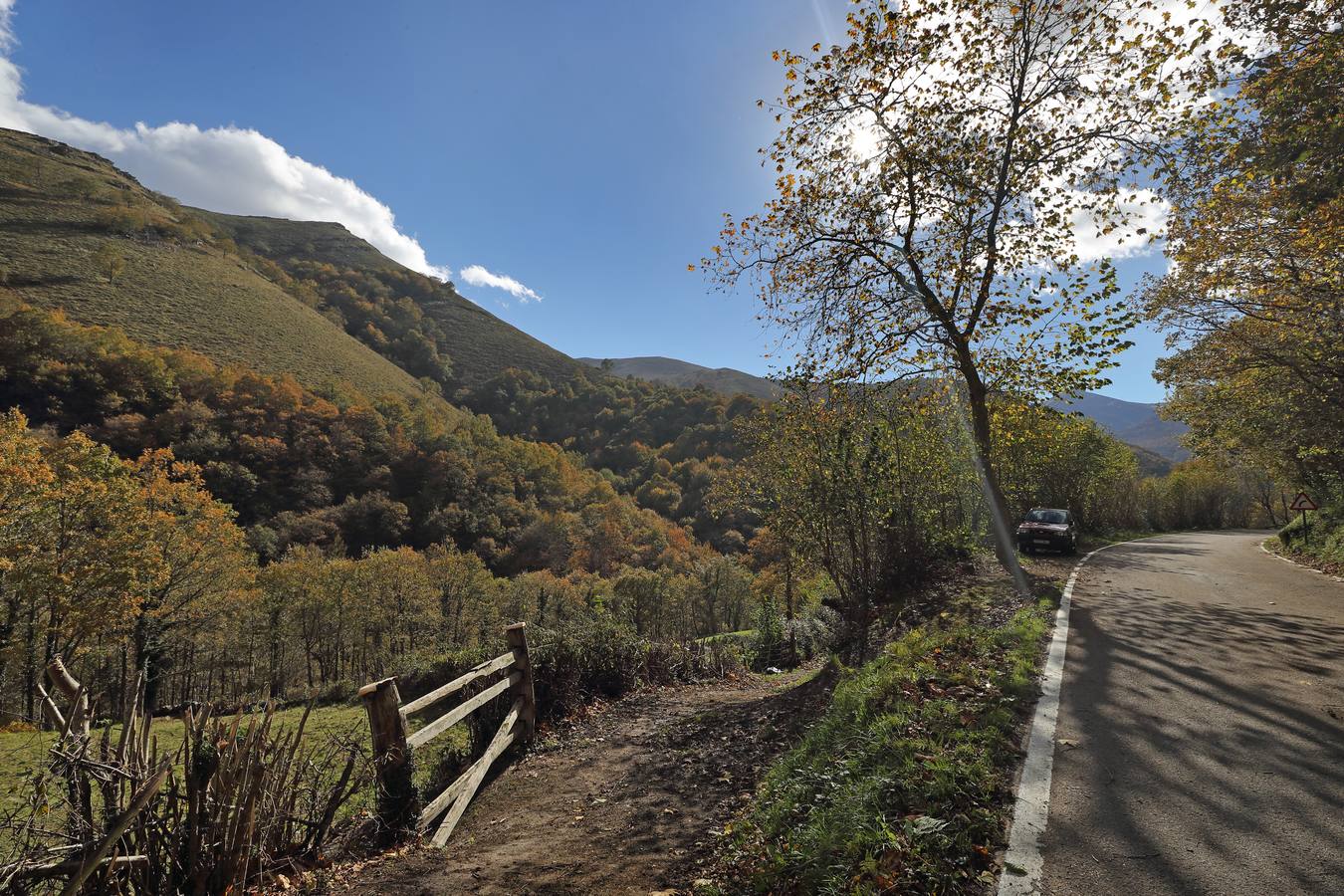 El otoño ya se deja sentir en los paisajes cántabros, que lucen transformados por esta época del año. Parajes como la Reserva del Saja, el Monte Corona, Los Tojos o Cabezón de la Sal lucen ya con los colores del otoño.