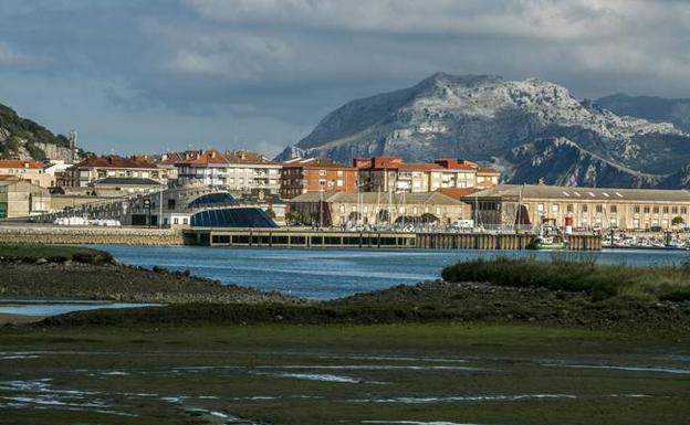 El saneamiento integral de las marismas es uno de los asuntos principales del Patronato de este parque. 