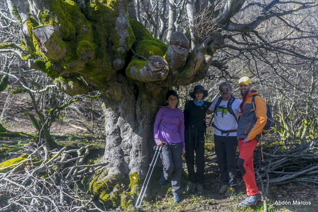 Fotos: Imágenes de la ruta circular de Lanchares