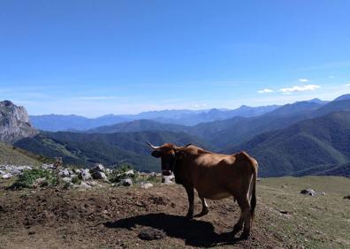 Imagen secundaria 1 - La ruta circular desde Fuente Dé a Peña Remoña