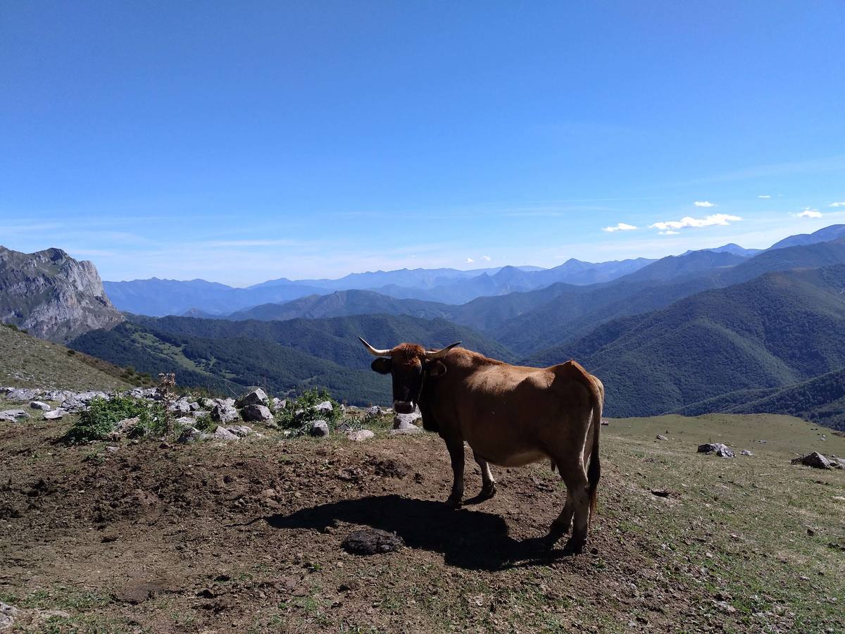 Fotos: Imágenes de la Ruta Circular por Peña Remoña