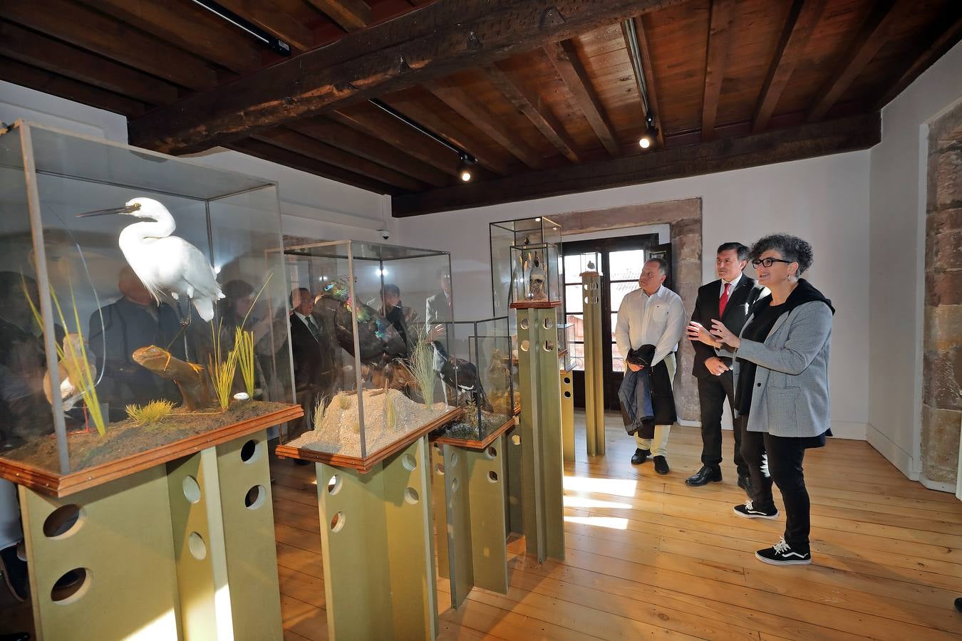 Fotos: Reabierto el Museo de la Naturaleza tras su reforma