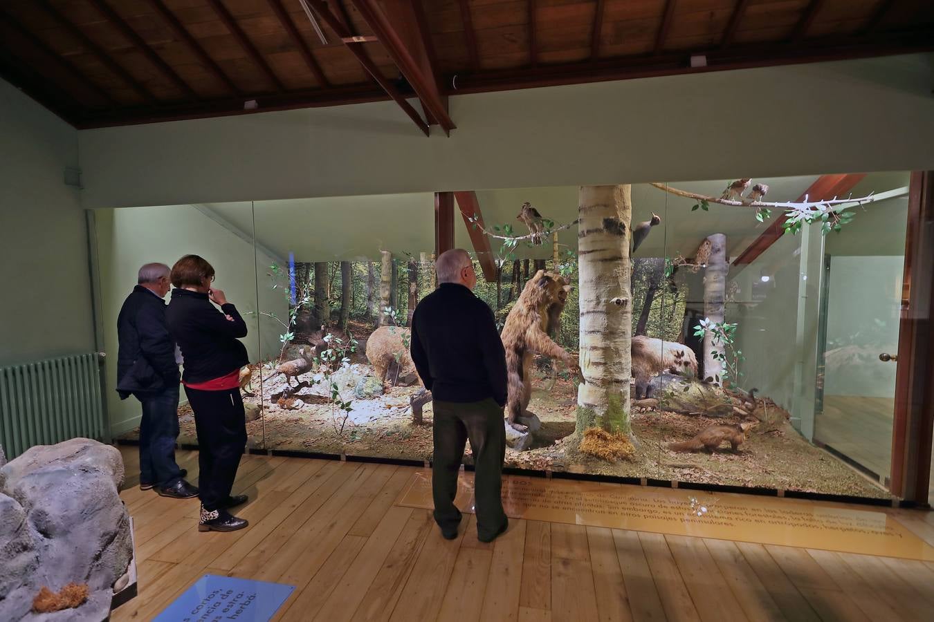 Fotos: Reabierto el Museo de la Naturaleza tras su reforma