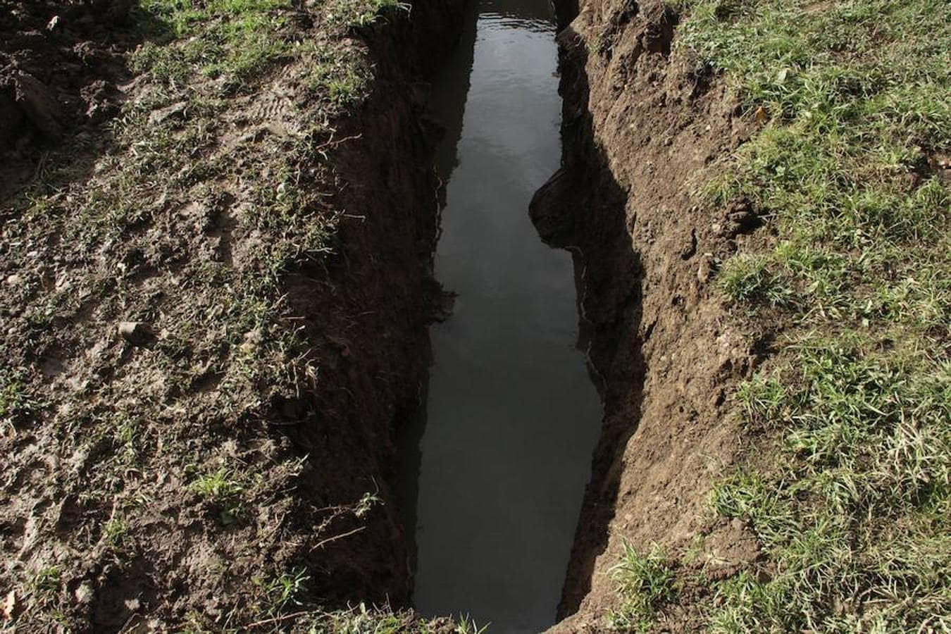 Zanjas abiertas por Marcos González en su finca para mejorar el drenaje, donde se ve el agua estancada..