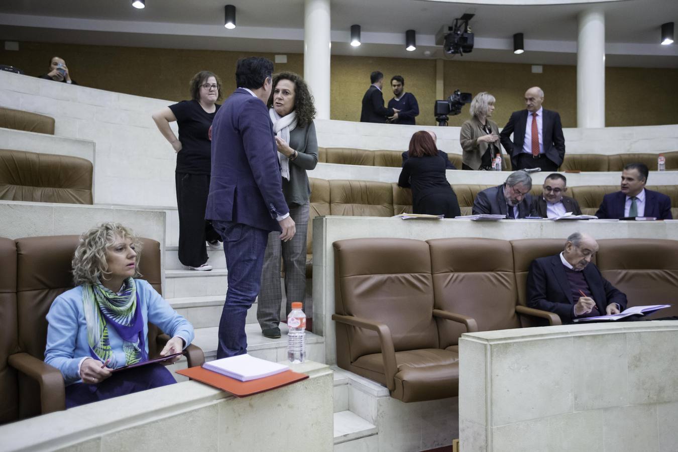 Fotos: Pleno del Parlamento de Cantabria para debatir el proyecto de Ley de derechos de las personas con discapacidad