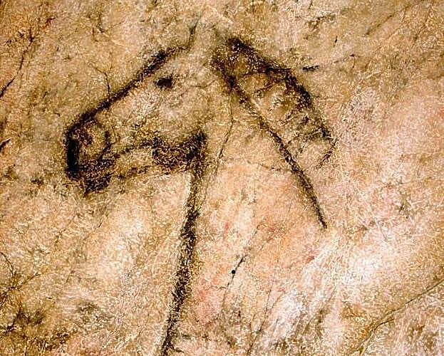 El famoso caballo negro de la cueva de Tito Bustillo, en la localidad asturiana de Ribadesella. 